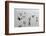 Canada, B.C, Vancouver Island. Gulls Flying on Florencia Beach-Kevin Oke-Framed Photographic Print