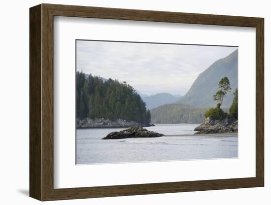 Canada, B.C, Vancouver Island. Trees and Rocks at Tonquin Beach-Kevin Oke-Framed Photographic Print