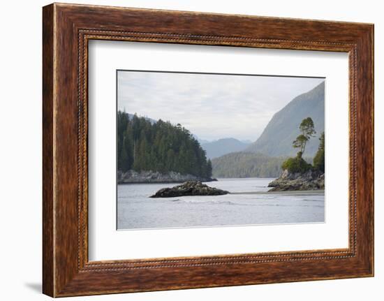 Canada, B.C, Vancouver Island. Trees and Rocks at Tonquin Beach-Kevin Oke-Framed Photographic Print