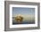 Canada, B.C, Victoria. the Light Beacon at Ogden Point Breakwater-Kevin Oke-Framed Photographic Print