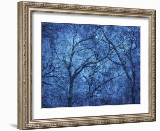 Canada. Blue abstract of trees.-Jaynes Gallery-Framed Photographic Print