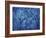 Canada. Blue abstract of trees.-Jaynes Gallery-Framed Photographic Print