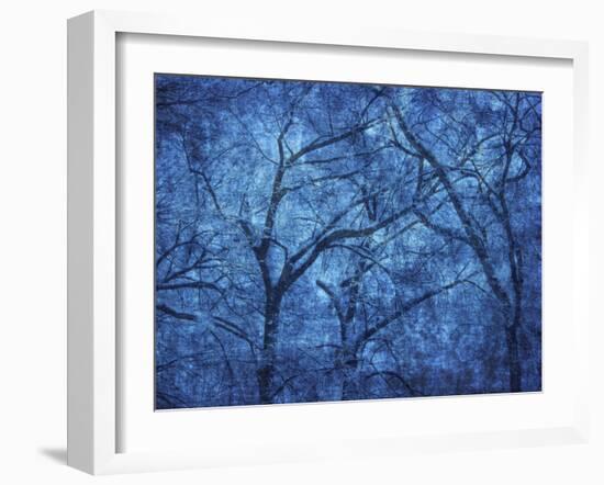 Canada. Blue abstract of trees.-Jaynes Gallery-Framed Photographic Print