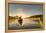 Canada, British Columbia. A kayaker paddles in morning mist on a Canadian lake.-Gary Luhm-Framed Premier Image Canvas