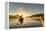 Canada, British Columbia. A kayaker paddles in morning mist on a Canadian lake.-Gary Luhm-Framed Premier Image Canvas