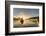 Canada, British Columbia. A kayaker paddles in morning mist on a Canadian lake.-Gary Luhm-Framed Photographic Print