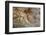 Canada, British Columbia, Cabbage Island. Cut Cedar Log Showing Age Rings-Kevin Oke-Framed Photographic Print