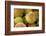 Canada, British Columbia, Cowichan Valley. Close-Up of Red and Green Apples-Kevin Oke-Framed Photographic Print