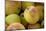 Canada, British Columbia, Cowichan Valley. Close-Up of Red and Green Apples-Kevin Oke-Mounted Photographic Print