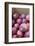 Canada, British Columbia, Cowichan Valley. Close Up of Red Apples in a Cardboard Box-Kevin Oke-Framed Photographic Print
