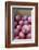 Canada, British Columbia, Cowichan Valley. Close Up of Red Apples in a Cardboard Box-Kevin Oke-Framed Photographic Print