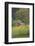 Canada, British Columbia, Cowichan Valley. Row of Sunflowers and Old Red Barn-Kevin Oke-Framed Photographic Print