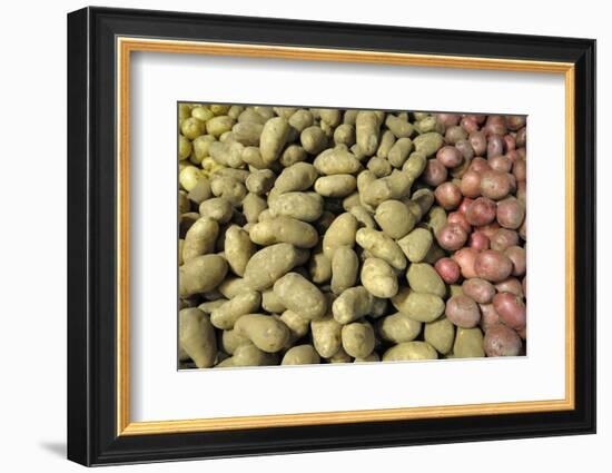 Canada, British Columbia, Cowichan Valley. Yellow and Red Potatoes for Sale at a Market-Kevin Oke-Framed Photographic Print