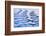 Canada, British Columbia, Inside Passage. Patterns in Boat Wake-Don Paulson-Framed Photographic Print