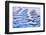 Canada, British Columbia, Inside Passage. Patterns in Boat Wake-Don Paulson-Framed Photographic Print