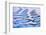 Canada, British Columbia, Inside Passage. Patterns in Boat Wake-Don Paulson-Framed Photographic Print