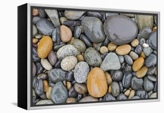 Canada, British Columbia, Naikoon Provincial Park. Rocks on Agate Beach.-Jaynes Gallery-Framed Premier Image Canvas