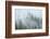 Canada, British Columbia, Nancy Green Provincial Park. Mountain forest in fog and rain.-Jaynes Gallery-Framed Photographic Print