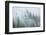 Canada, British Columbia, Nancy Green Provincial Park. Mountain forest in fog and rain.-Jaynes Gallery-Framed Photographic Print