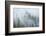 Canada, British Columbia, Nancy Green Provincial Park. Mountain forest in fog and rain.-Jaynes Gallery-Framed Photographic Print