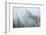 Canada, British Columbia, Nancy Green Provincial Park. Mountain forest in fog and rain.-Jaynes Gallery-Framed Photographic Print