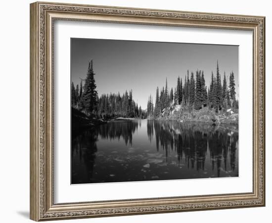 Canada, British Columbia, Revelstoke, Mount Revelstoke National Park-Mike Grandmaison-Framed Photographic Print