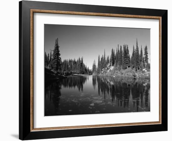 Canada, British Columbia, Revelstoke, Mount Revelstoke National Park-Mike Grandmaison-Framed Photographic Print