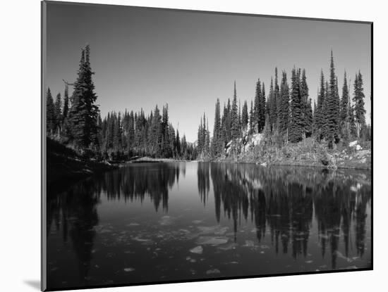 Canada, British Columbia, Revelstoke, Mount Revelstoke National Park-Mike Grandmaison-Mounted Photographic Print
