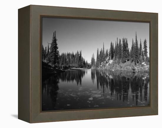 Canada, British Columbia, Revelstoke, Mount Revelstoke National Park-Mike Grandmaison-Framed Premier Image Canvas