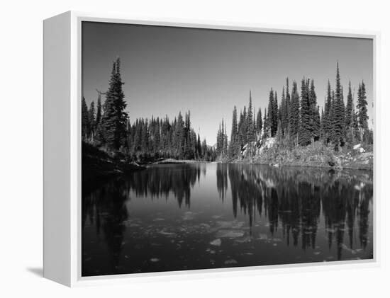 Canada, British Columbia, Revelstoke, Mount Revelstoke National Park-Mike Grandmaison-Framed Premier Image Canvas