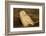 Canada, British Columbia, Snowy Owl Waiting for Prey-Terry Eggers-Framed Photographic Print