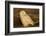 Canada, British Columbia, Snowy Owl Waiting for Prey-Terry Eggers-Framed Photographic Print