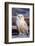 Canada, British Columbia, Snowy Owl Waiting for Prey-Terry Eggers-Framed Photographic Print