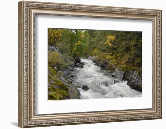 Canada, British Columbia, Vancouver Island. Harris Creek Flowing Through Harris Canyon in Fall-Kevin Oke-Framed Photographic Print