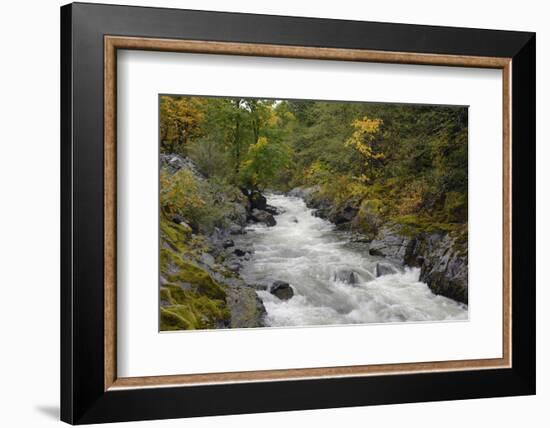 Canada, British Columbia, Vancouver Island. Harris Creek Flowing Through Harris Canyon in Fall-Kevin Oke-Framed Photographic Print
