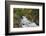 Canada, British Columbia, Vancouver Island. Harris Creek Flowing Through Harris Canyon in Fall-Kevin Oke-Framed Photographic Print