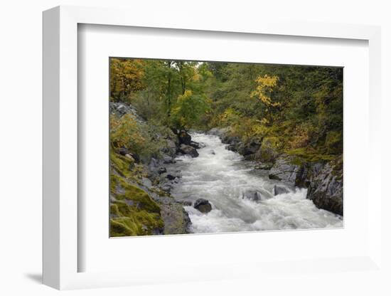 Canada, British Columbia, Vancouver Island. Harris Creek Flowing Through Harris Canyon in Fall-Kevin Oke-Framed Photographic Print