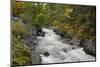 Canada, British Columbia, Vancouver Island. Harris Creek Flowing Through Harris Canyon in Fall-Kevin Oke-Mounted Photographic Print