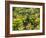 Canada, British Columbia, Victoria, Flower Close-Up-Jamie And Judy Wild-Framed Photographic Print