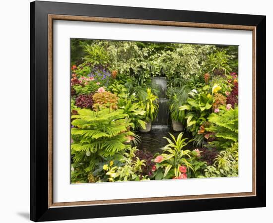 Canada, British Columbia, Victoria, Flower Close-Up-Jamie And Judy Wild-Framed Photographic Print