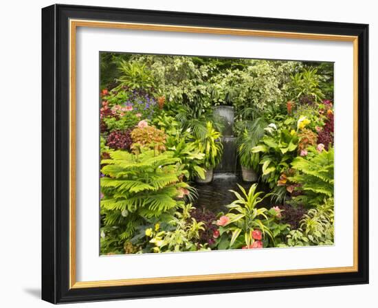 Canada, British Columbia, Victoria, Flower Close-Up-Jamie And Judy Wild-Framed Photographic Print