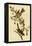 Canada Bunting Tree Sparrow-John James Audubon-Framed Stretched Canvas