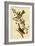 Canada Bunting Tree Sparrow-John James Audubon-Framed Art Print