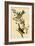 Canada Bunting Tree Sparrow-John James Audubon-Framed Art Print