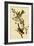 Canada Bunting Tree Sparrow-John James Audubon-Framed Art Print