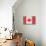 Canada Country Flag - Barnwood Painting-Lantern Press-Art Print displayed on a wall