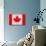 Canada Flag Design with Wood Patterning - Flags of the World Series-Philippe Hugonnard-Art Print displayed on a wall