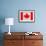 Canada Flag Design with Wood Patterning - Flags of the World Series-Philippe Hugonnard-Framed Art Print displayed on a wall