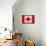 Canada Flag Design with Wood Patterning - Flags of the World Series-Philippe Hugonnard-Framed Stretched Canvas displayed on a wall