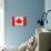 Canada Flag Design with Wood Patterning - Flags of the World Series-Philippe Hugonnard-Premium Giclee Print displayed on a wall